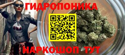 СК Можга