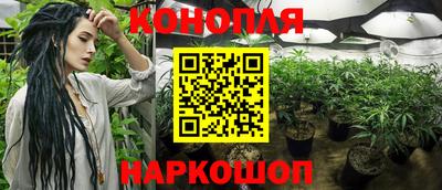 трава Моздок
