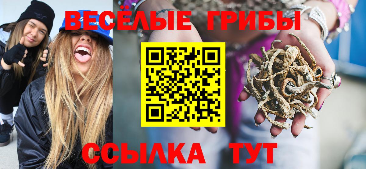Марихуана Тайшет