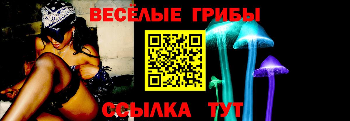 Тайшет  Галлюциногенные грибы Magic Shrooms  Галлюциногенные грибы Psilocybine cubensis  Вход с VPN 